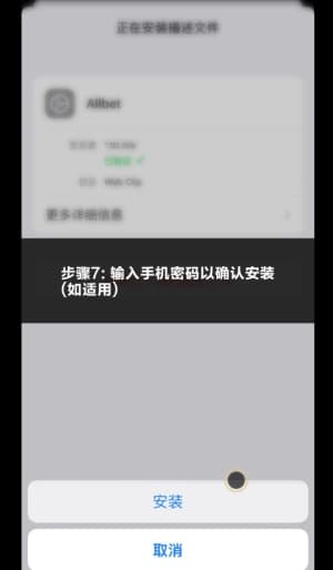 欧博iOS应用安装与配置流程图示7